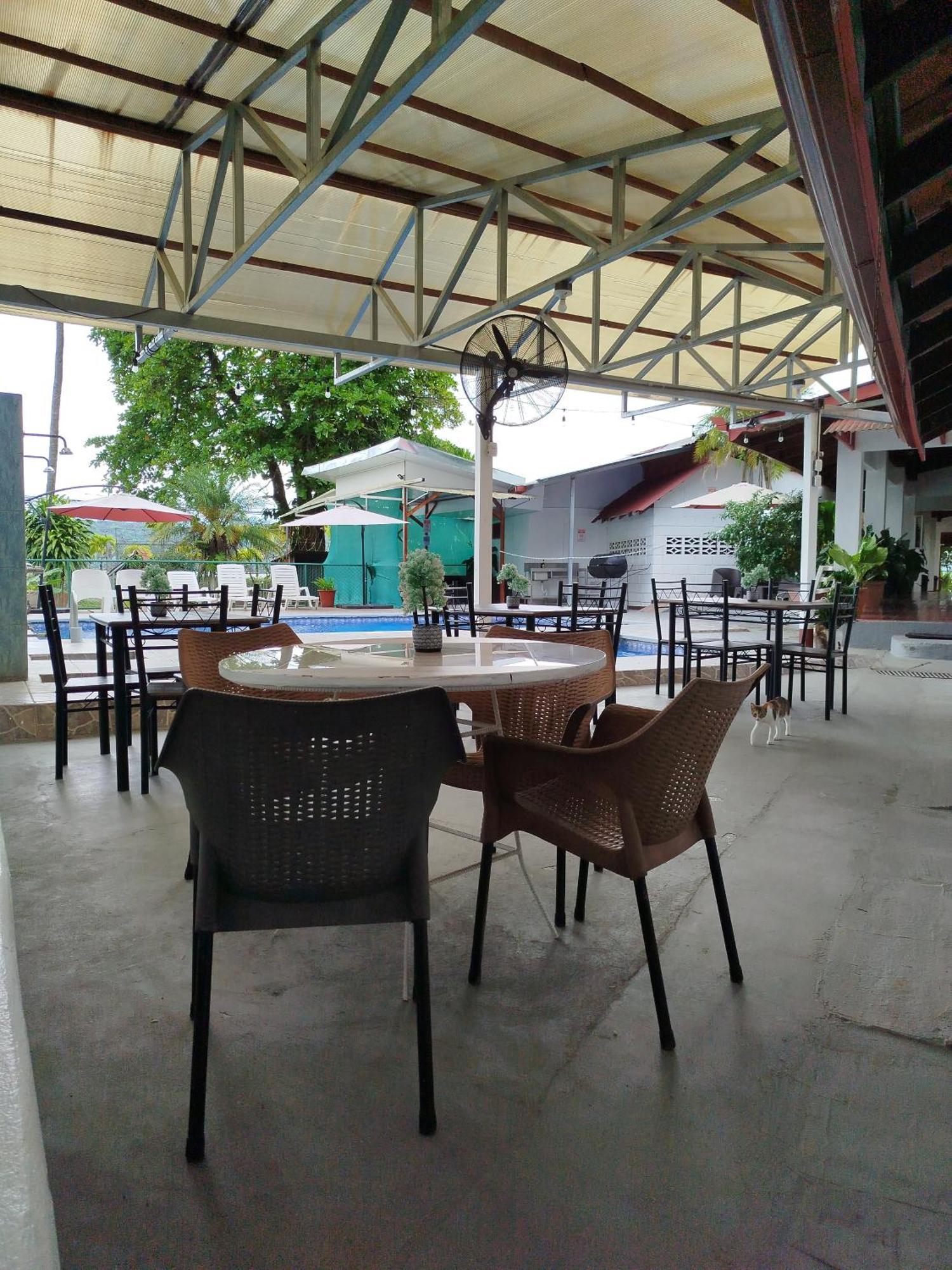 Hotel Pez Gallo Golfito Dış mekan fotoğraf